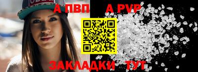 гидра Бердск