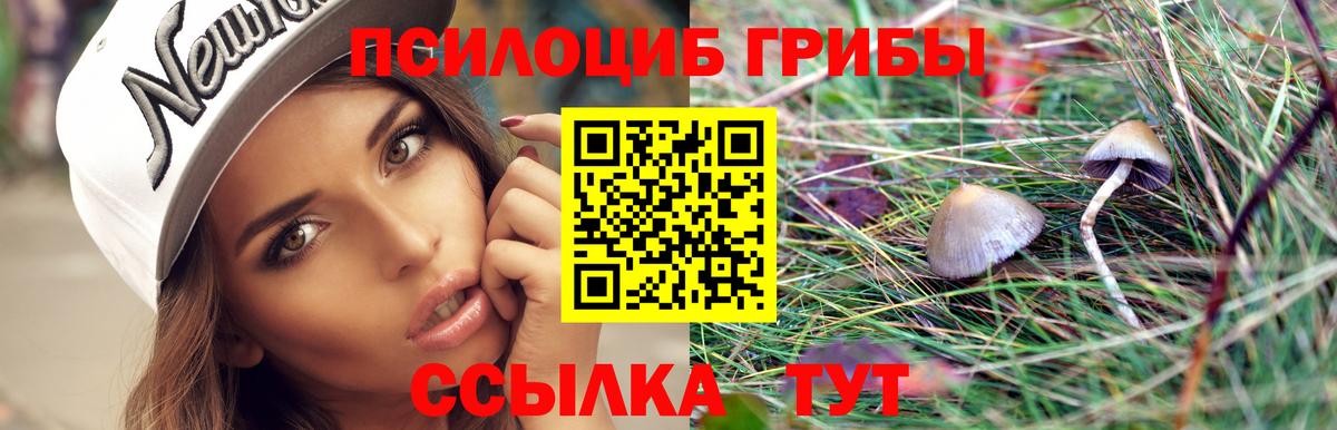 Псилоцибиновые грибы GOLDEN TEACHER Вичуга