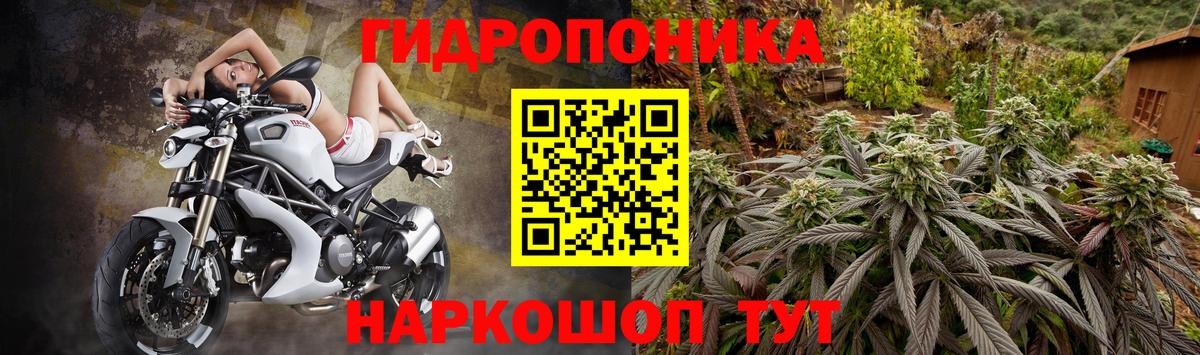 Конопля Ganja Вичуга